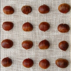 Chestnut Soup