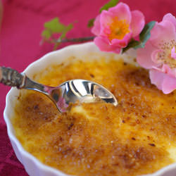 Rose Crème Brûlée