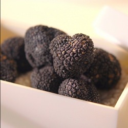 Black Truffles
