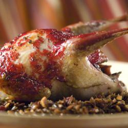 Roast Grouse & Wild Cranberry Glaze