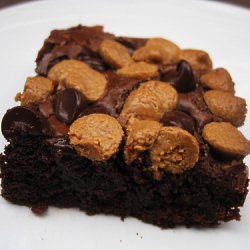Super Yummy Chocolate Brownies
