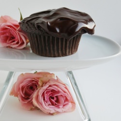 Chocolate Cupcakes