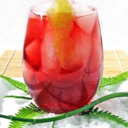 The Scorpio- A Sloe Gin Cocktail