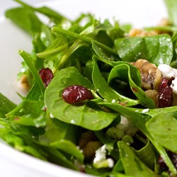 Thanksgiving Salad with Cranberry