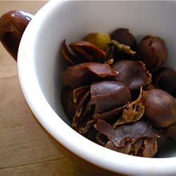 Cascara, or How Coffee Can Be Tea