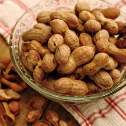 Boiled Peanuts
