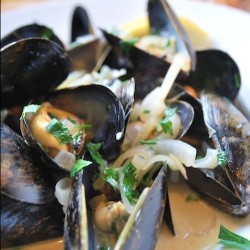 Steamed Mussels in White Wine Broth