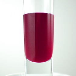 Prickly Pear Syrup