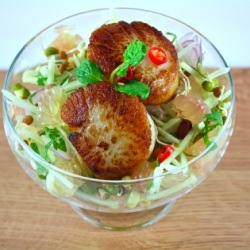 Apple, Pamelo, And Scallops Salad