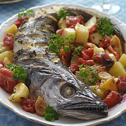 Fish
