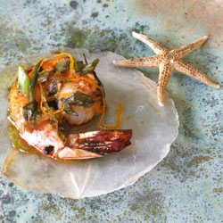 Shrimp w/Ginger Citrus Vinaigrette