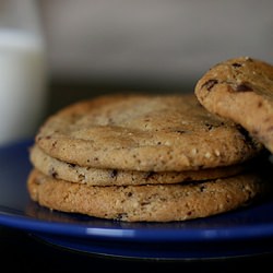 Ultimate Chocolate Chip Cookie