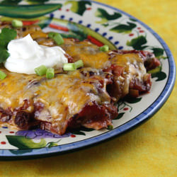 Cranberry Turkey Enchiladas