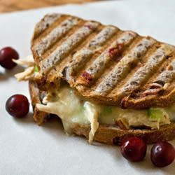 Turkey-Apple Salad Melt Panini