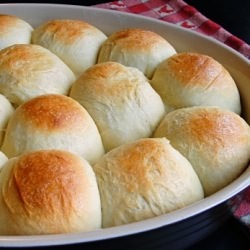 Honey Yeast Rolls