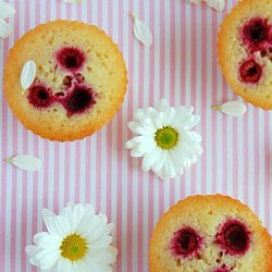 Almond, Vanilla and Raspberry Friands