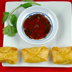 Crab Wontons with Plum Sauce