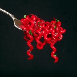 Red Beet Fusilli