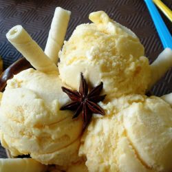 Mango and Star Anise Sorbet