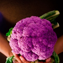 Purple cauliflower