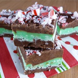 Mint Chocolate Fudge