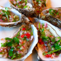 Fresh Oysters Chilli and Coriander