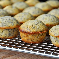 Mini Lemon Poppy Seed Muffins