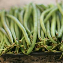Organic Green Bean Casserole