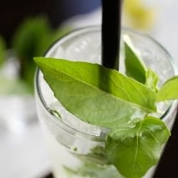 Vietnamese Basil Limeades