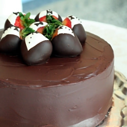 Chocolate Cake