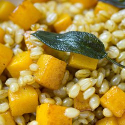 Wheat Berries and Butternut Squash