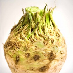 Accidental Celeriac Salad