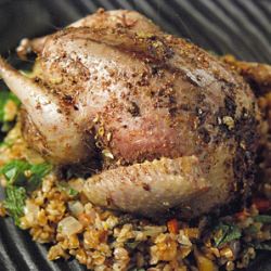 Turkish Roast Pigeon