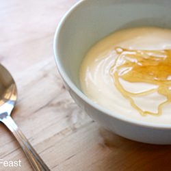 Homemade Yogurt