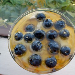 Greek Yogurt with Honey & Blueberry