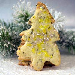 Douglas Fir Cookies