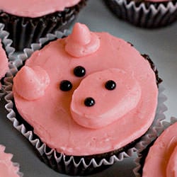 Swine Flu Recovery Cupcakes