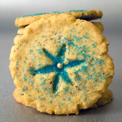 Garam Masala & Ginger Cookies