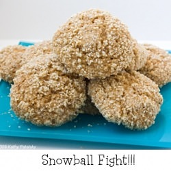 Coconut Snowball Cookies