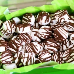 Dark Chocolate Drizzled Mints
