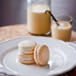 Eggnog Macarons