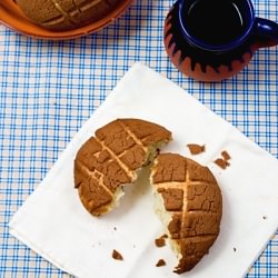 Chocolate conchas