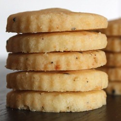 Parmesan Cheese Sablés