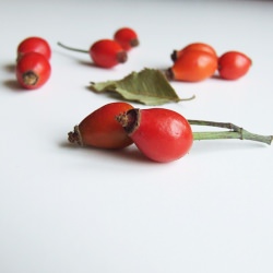 Rosehip Tea