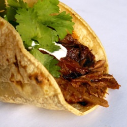 Chile-Braised Pork Tacos