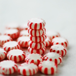 Ultimate Peppermint Ganache Brownie