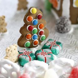 My Daughter’s Gingerbread House~