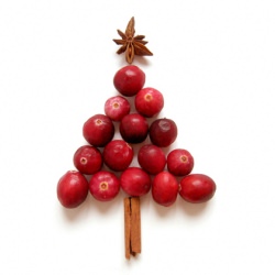 Mulled Cranberry Spice Drink