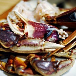 Dungeness Crab