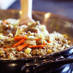 Lentil and Veggie Side Dish